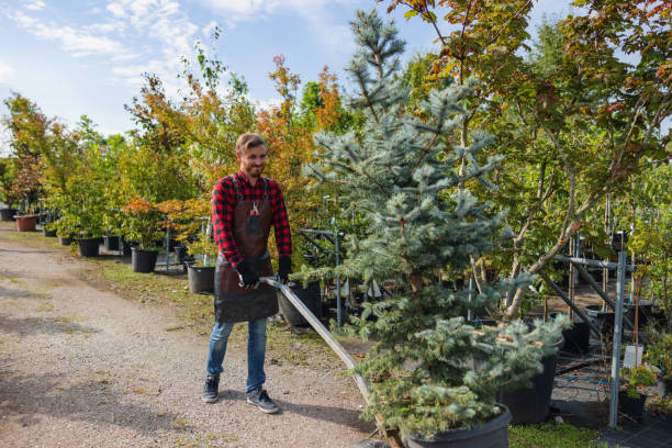 Mulching Services in Southside, AR